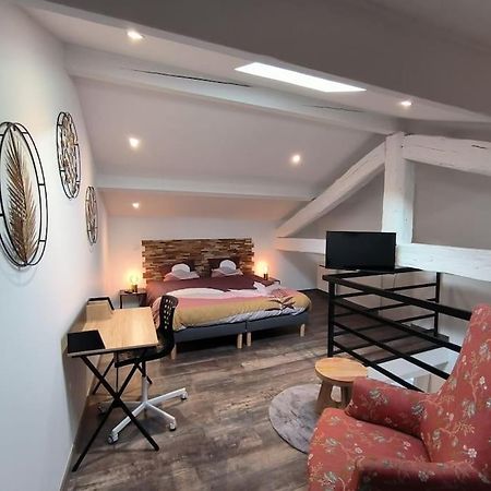 T2 -55M2- Elegant Et Chaleureux Montbrison Exterior foto